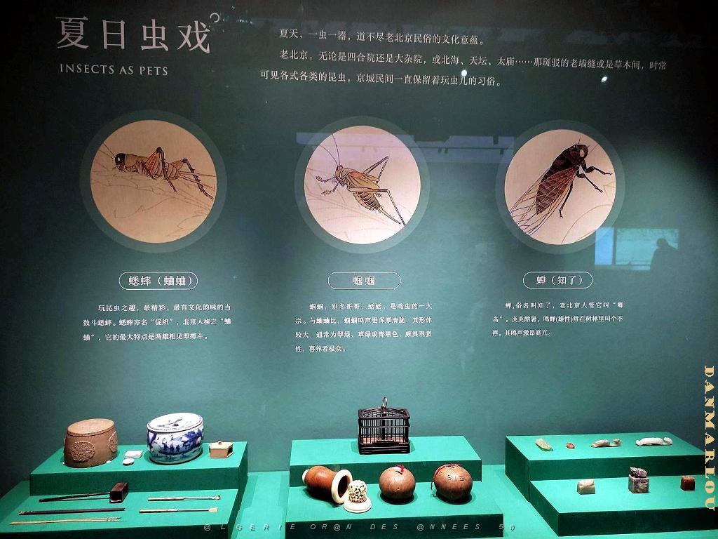 PEKIN - Musee National - 16.06.2024 - 21.jpg
